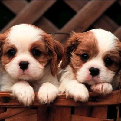 22dannyDanny's profile picture. 