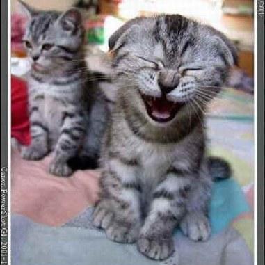 TANGPARSE's profile picture. 