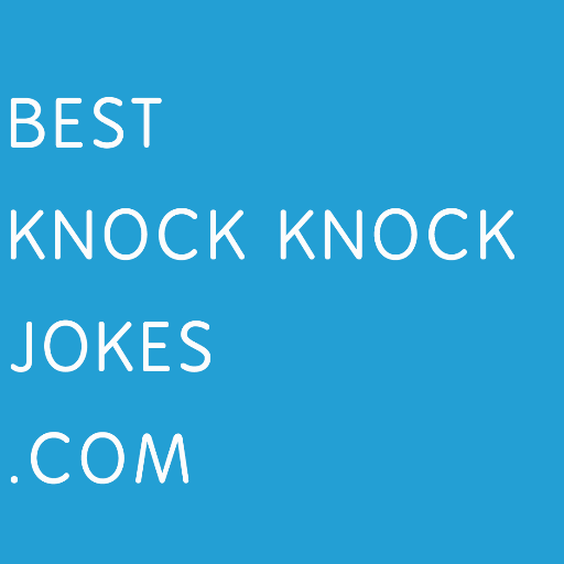 bestknockknocks's profile picture. 