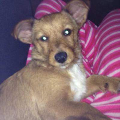 MaherStuey's profile picture. 