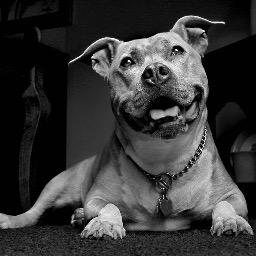 coopernorther's profile picture. 