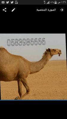 xko6789's profile picture. 