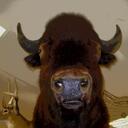 Tom Walker - @gmservicewriter - Twitter