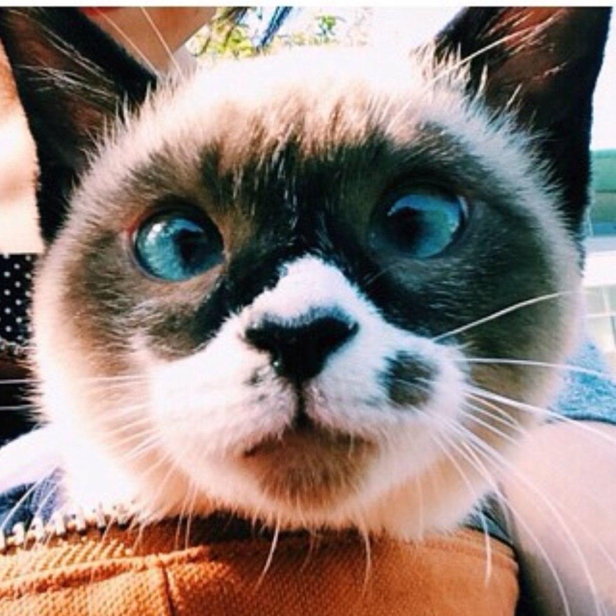 nolarola's profile picture. 