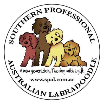 Southerns Professional Australian Labradoodles breeds genuine Australian Labradoodles. https://t.co/Hhmpp0QMHI