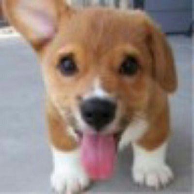 tijakin's profile picture. Eu tu ele e ela nós vós eles e elas