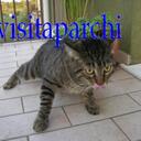 simone fontana - @Ilvisitaparchi - Twitter