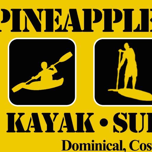 PineappleDomiCR Profile Picture