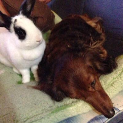 IfosYp's profile picture. 