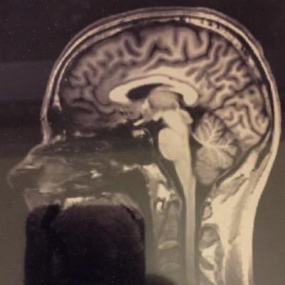 apizzaphrenia's profile picture. 