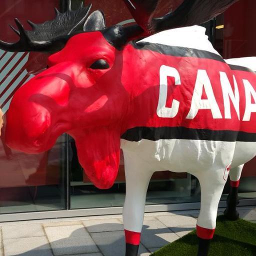 I'm a proud, handsome, funny, and loveable Canadian moose, stop by for a photo!
