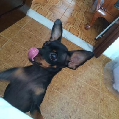 LeLola2242's profile picture. Youtuber 1.2