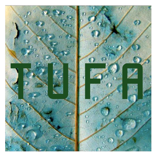 Writing, Art, Music, Film...
Arts for the Environment. Published every two months. Submit by August 30th.
