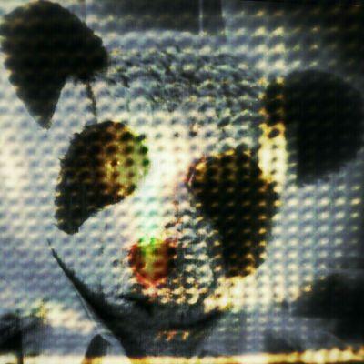 71004288d3d041c's profile picture. New Account 
@e1af38f38f6dbad458