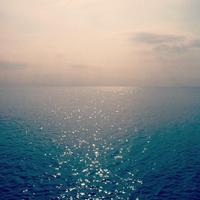 Closed Paradise (@closedparadise) 's Twitter Profile