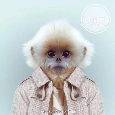 shininguang's profile picture. javaweb dev，爱运动，主要是喜欢打篮球