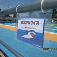 越中島プール (@etchujimapool) 's Twitter Profile