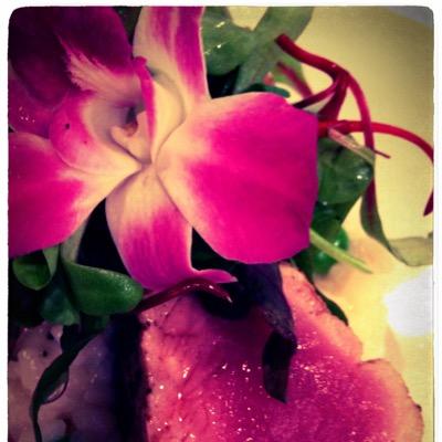 SanctuaryRest's profile picture. 