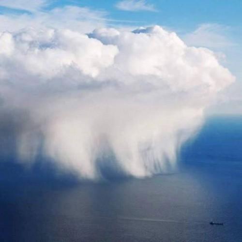 jolieol89's profile picture. 