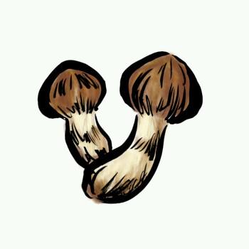 しめじ (@shimeji216) / Posts / X