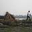 raghukumard's profile image
