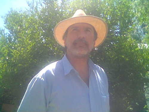 Profesor de Filosofía y Ciencias de la Educación en ejercicio en el Nivel Superior