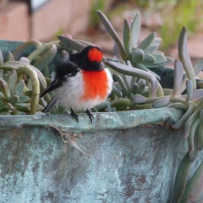 SallyGordon4's profile picture. 