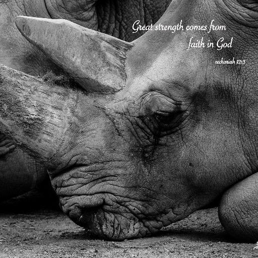 AWRolls's profile picture. 