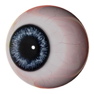 mgdri_G's profile picture. 18↑