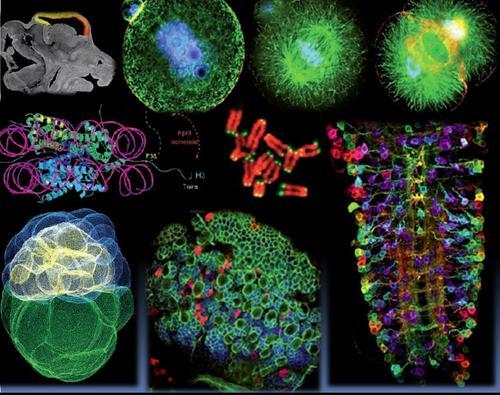 Aigai's profile picture. graphic design for science