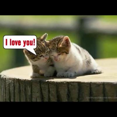 LoveYou79268088's profile picture. love