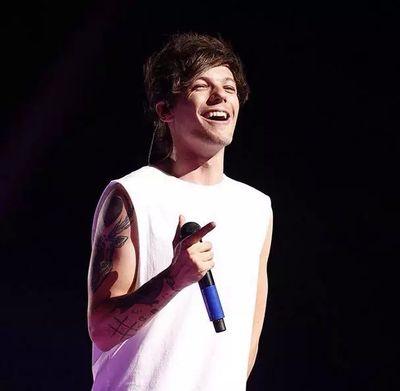 louisgentlehugs's profile picture. I Follow Back All Directioners. @harrysgentlehug is my TWITTER SISTER.