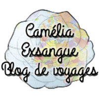 Camelia Exsangue(@cameliaexsangue) 's Twitter Profile Photo