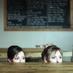 Taylor and the Mason (@taylornthemason) Twitter profile photo Taylor and the Mason (@taylornthemason) Twitter profile photo