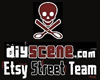 Etsy Street Team for DIYScene members. Yeah, best team on Etsy!!!!