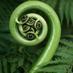 Protect Papatūānuku (@taneoftheforest) Twitter profile photo Protect Papatūānuku (@taneoftheforest) Twitter profile photo