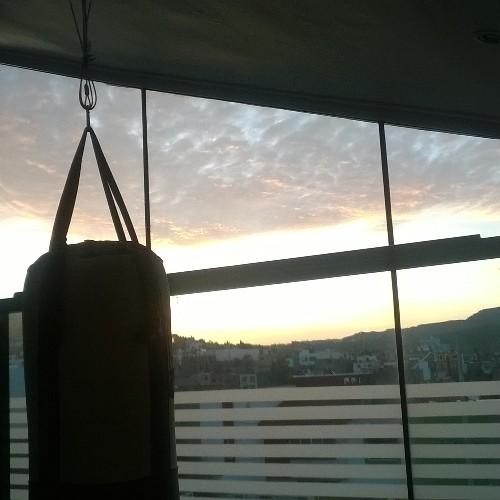 alvaradoee33's profile picture. 