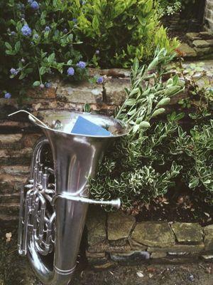 toottubaloo's profile picture. 