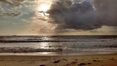 rickwickid's profile picture. 