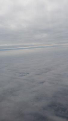 omarcc090's profile picture. لا إله إلا الله