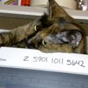 Mark Lainer - @wonkoff - Twitter