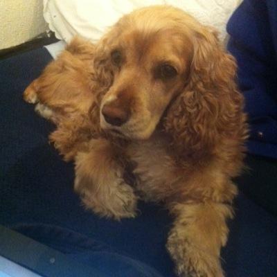 martha_albin's profile picture. 