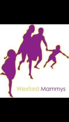 Support, Advice, Information. Tweets by @lianne_kehoe2 wexfordmammys@gmail.com