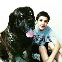Josh brenghause (@brenghausejosh) 's Twitter Profile
