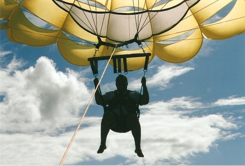 voufalardetudo's profile picture. Hi, im a jornalist from São Paulo and for me, everything is a topic.