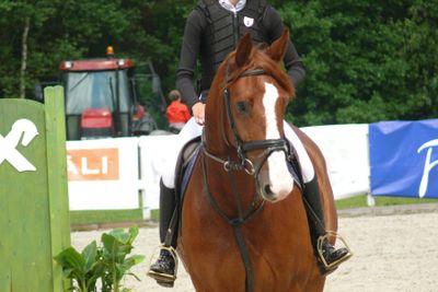 Page made for horse riders - Equestrians.
Newest, funniest, interesting and other facts"es about horses that you will love