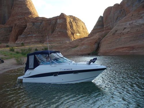 powellcrazy's profile picture. 