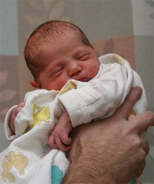 dcfoodies's profile picture. Crazy foodie