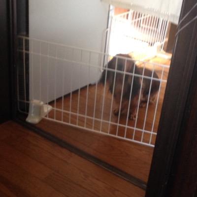 ideal8407's profile picture. 自然言語処理・旅行・アフリカ情勢。