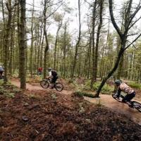 Lady Cannings (@ladycannings) 's Twitter Profile